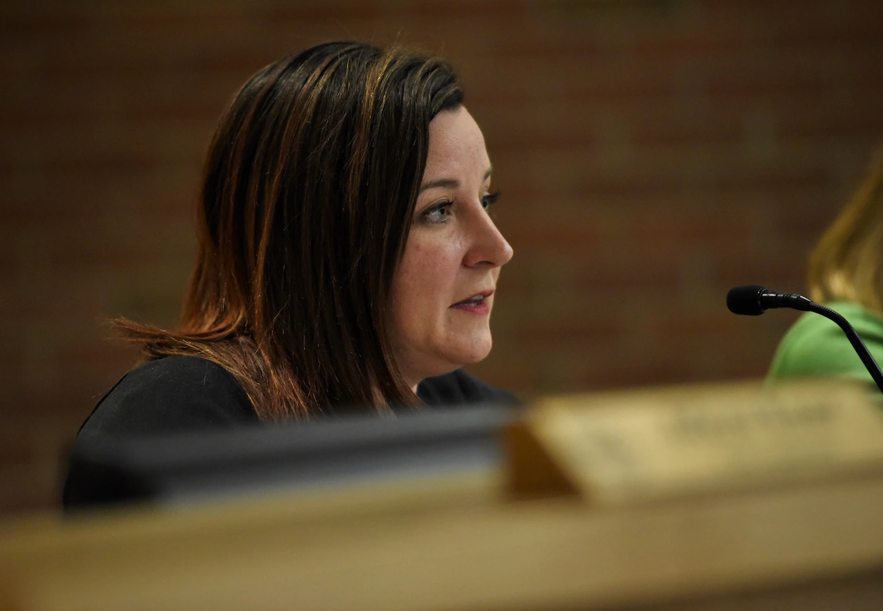 Ann Arbor council member seeking reelection says she’s proud of plan to increase housing