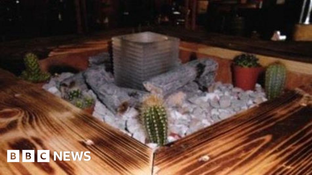 Boy hit by fireball while toasting marshmallows in restaurant