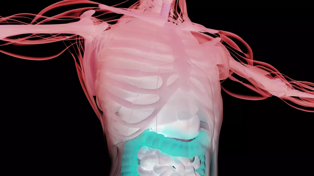 Doctor reveals exactly what happens to your body when you stop eating for three days