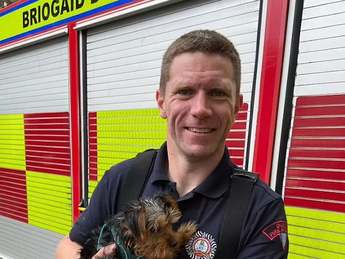 Depraved firefighter Terence Crosbie's vile tweet about 'rape capital of Europe' jury didn't hear