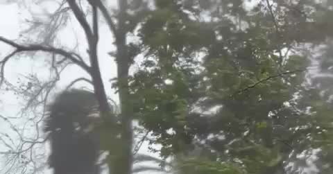 A Texas Family Rode Out Hurricane Melissa at a Jamaican Beach Resort