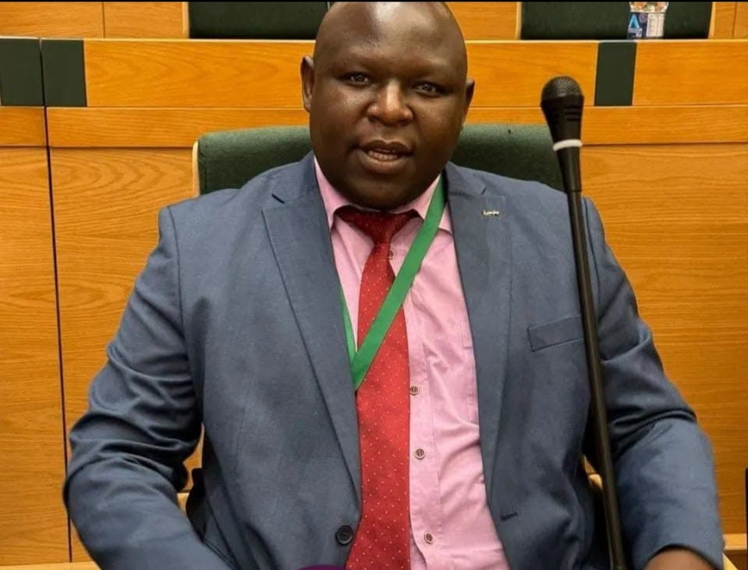 Opposition MP Labels Mnangagwa’s SONA “Empty Talk Show”