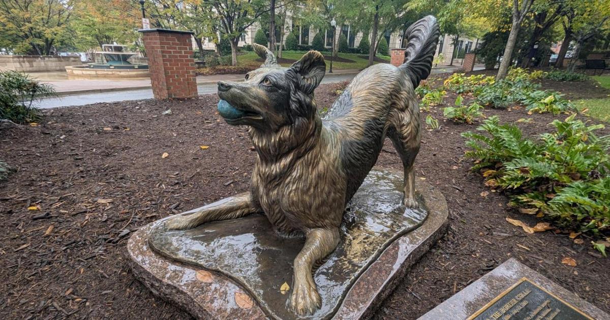 ‘World’s smartest dog’ at center of Upstate trademark fight