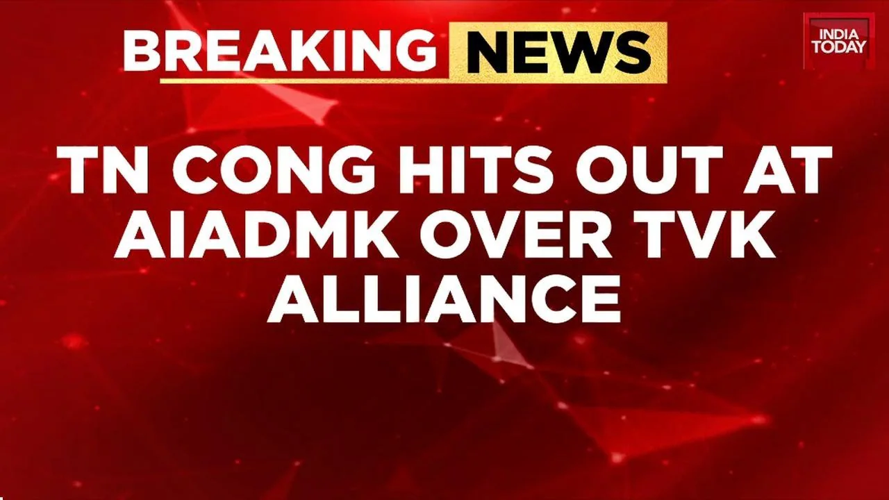 Cong to EPS: 'Self-Respecting Party Fights Alone', Mocks Alliance Bid With Vijay's TVK