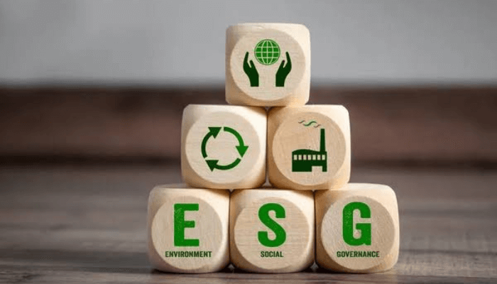 Impact-linked finance: Shaping Africa’s ESG future