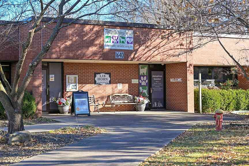 Fayetteville Animal Services seeks public help with treats, fostering during November