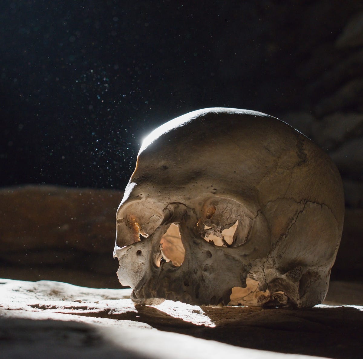 New Evidence Suggests the First Americans Didn’t Walk From Siberia—They Sailed From Japan