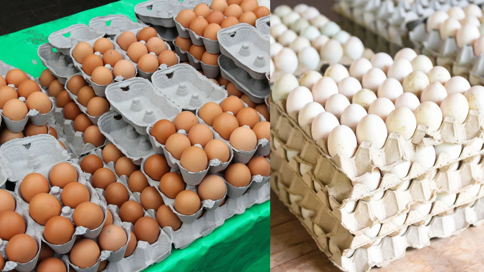 Brown Eggs Vs White Eggs: Is One Really Healthier Than The Other?