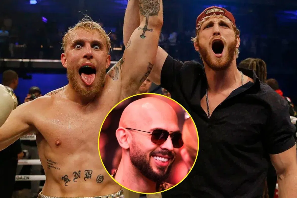 Tate Brothers Claim They’re Better Than Jake and Logan Paul Except in One Aspect, Predict Tag Team Match