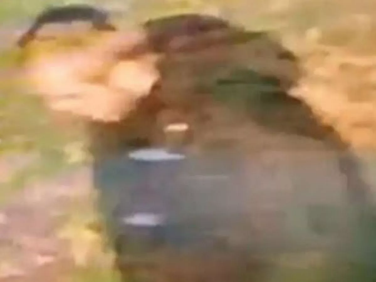 Woman raped in 'racially aggravated' attack as police launch probe