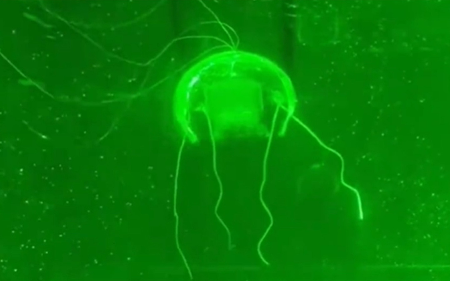 China’s ‘jellyfish robot’ promises to be a breakthrough in deep-sea exploration