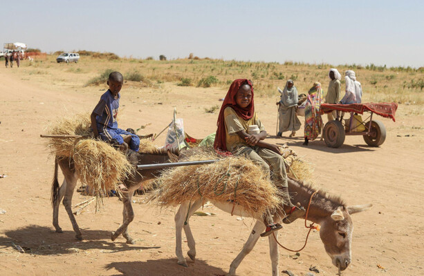 UN warns of 'large-scale atrocities' in Sudan after rebels take major city in Darfur