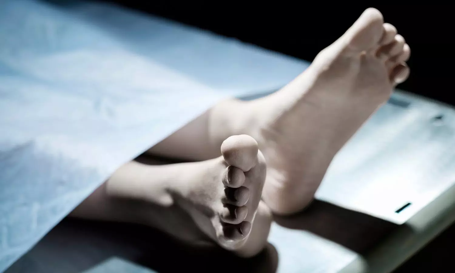 Assam Gynaecologist among 3 killed in road accident