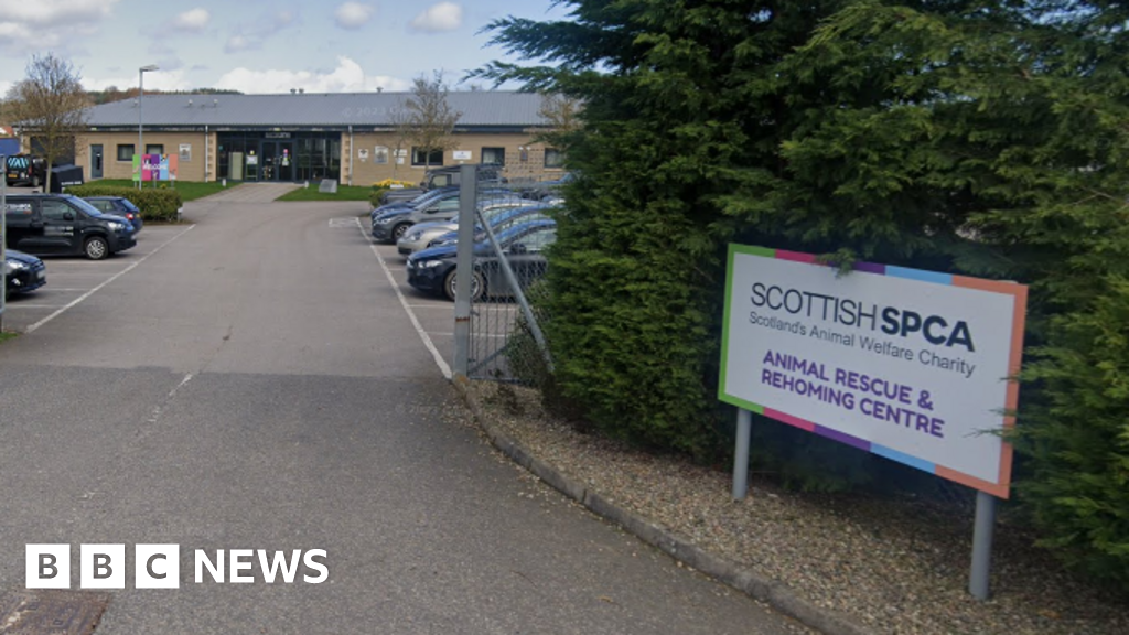 Scottish SPCA staff announce strike action on Bonfire Night