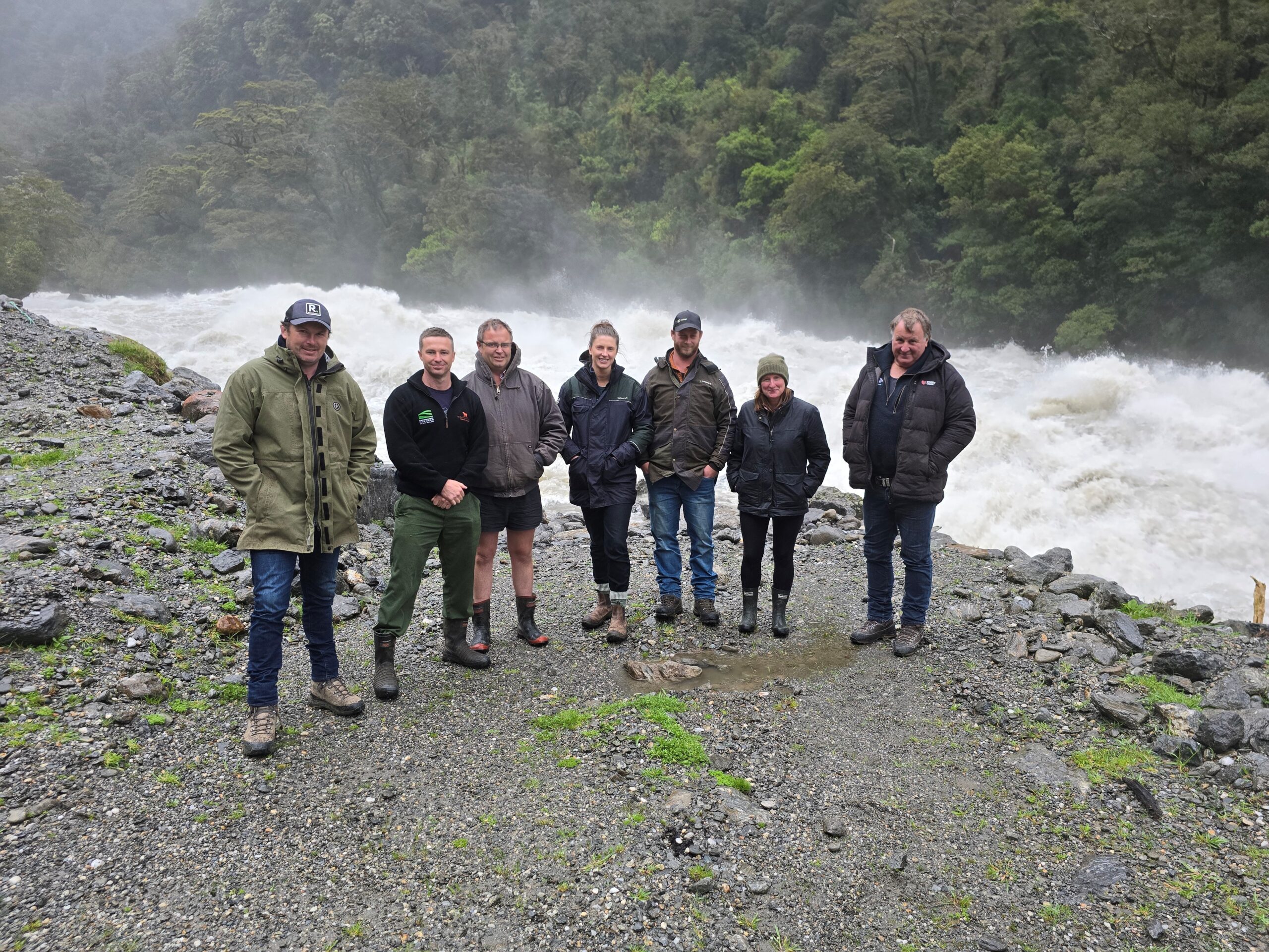 Grazing, conservation and community in South Westland