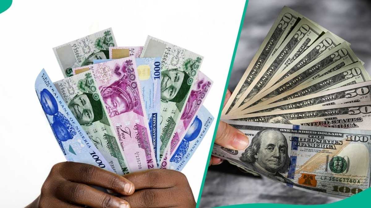 How the naira gained N224 two years amid CBN reforms