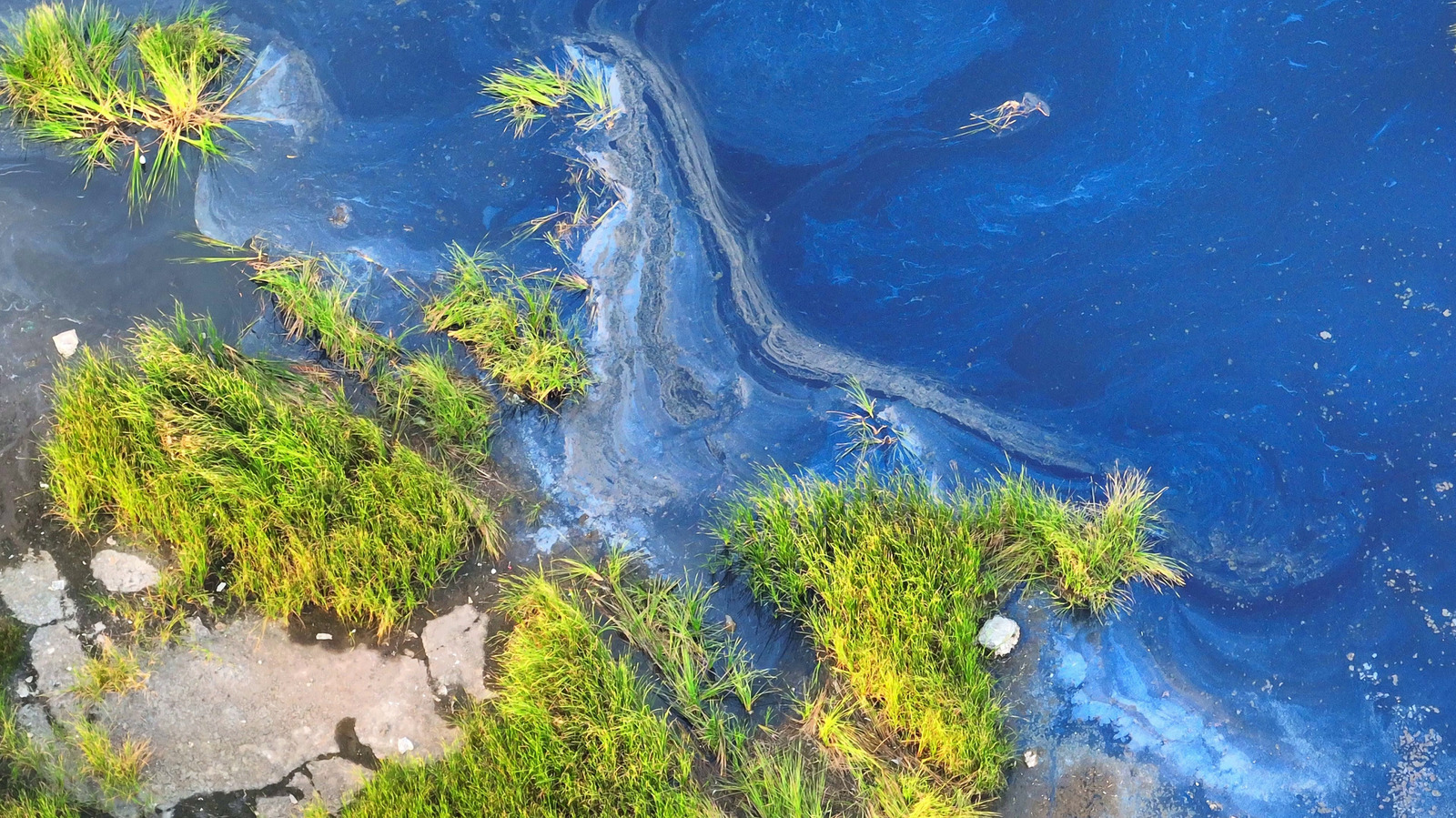 NASA's ISS Satellite Imagery Helped Identify A Huge Sewage Spill - Here's How