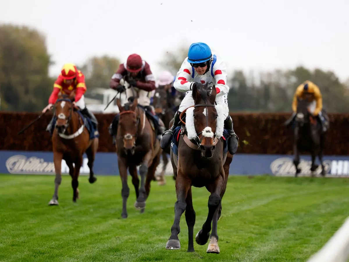 Horse named after Ricky Hatton wins at Aintree as boxer's foundation to benefit