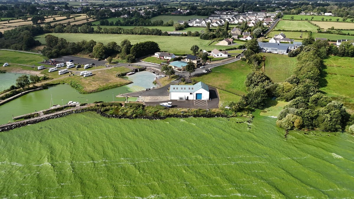 'Deep dissatisfaction': Ulster Farmers’ Union executive takes no confidence vote in Department of Agriculture, Environment and Rural Affairs (Daera)