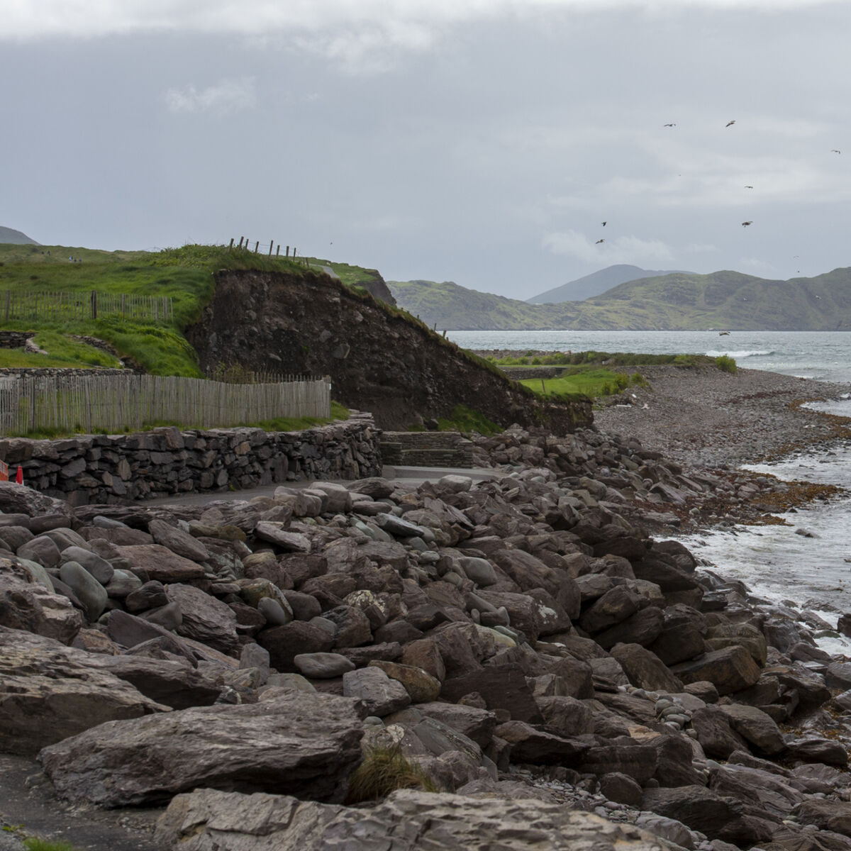 Kerry councillors condemn approval for commercial salmon farm to continue, despite serious breaches