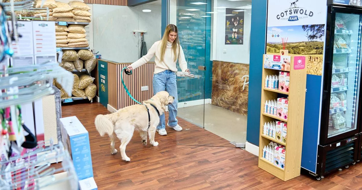 AD FEATURE: Emmi-Pet dog teeth cleaning now available at Pets & Friends