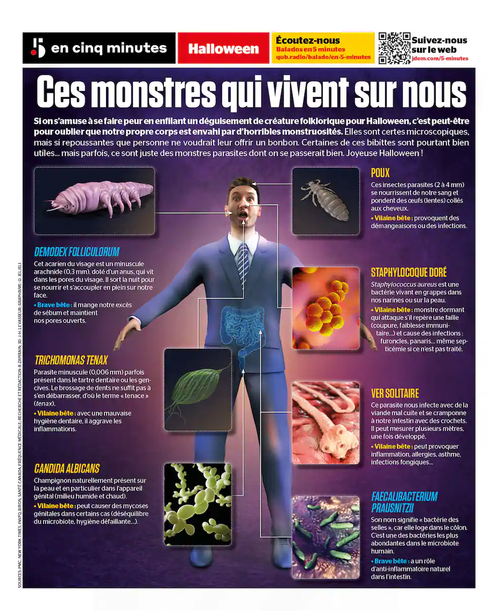 INFOGRAPHIE | Halloween: ces monstres qui vivent... sur nous