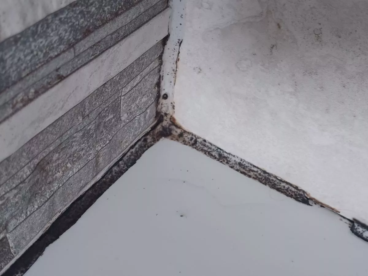 Banish black mould in 1 hour with 35p item you already have in your cupboard