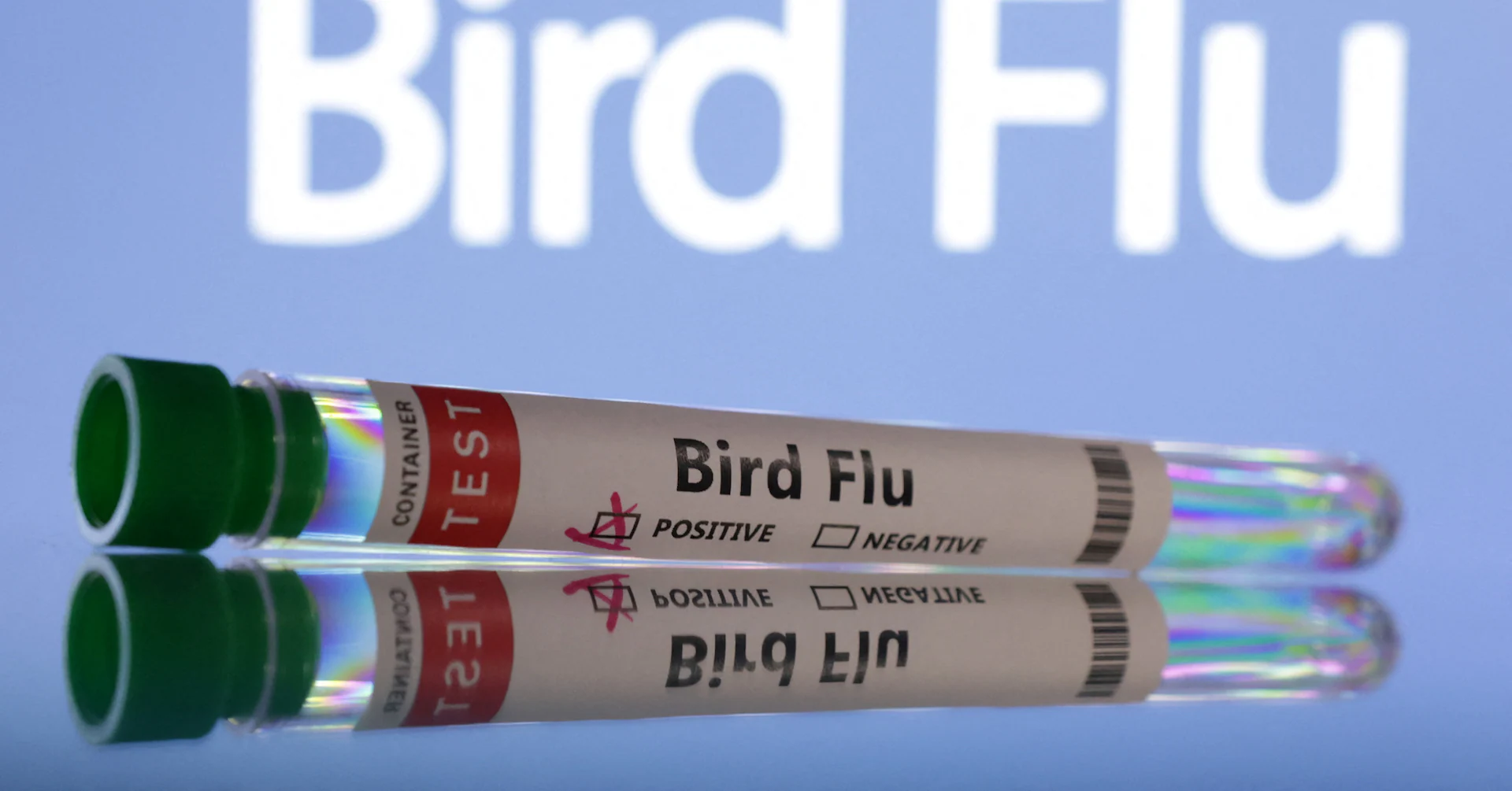 Hungary reports bird flu outbreak on farm, WOAH says