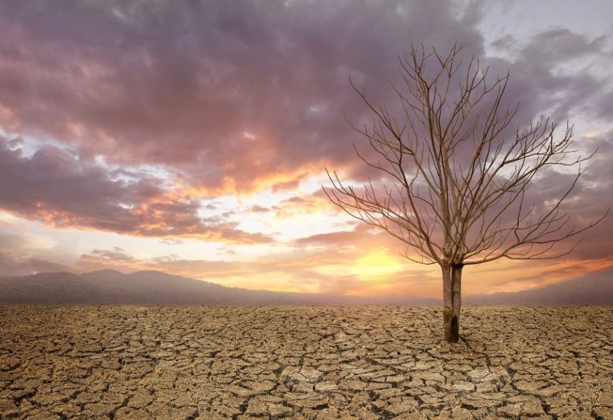 International Report: Climate change poses unprecedented health threat