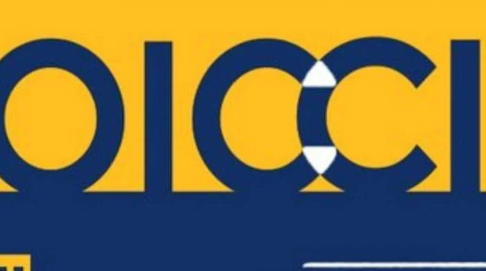 73% foreign investors view Pakistan as viable FDI destination: OICCI survey