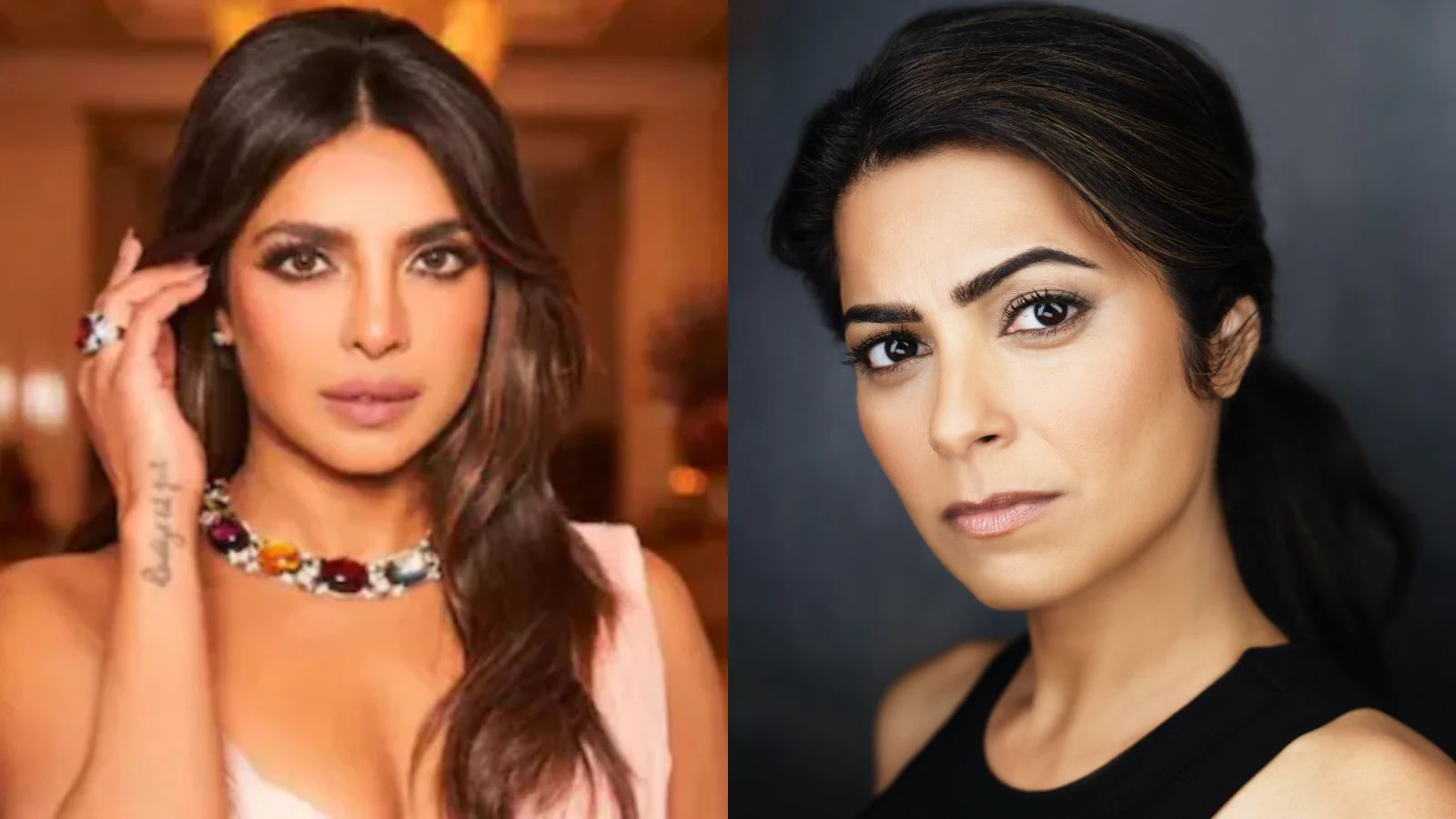 Priyanka Chopra Doesn't Help South Asians In Hollywood, Alleges TV Actress Sweta Keswani