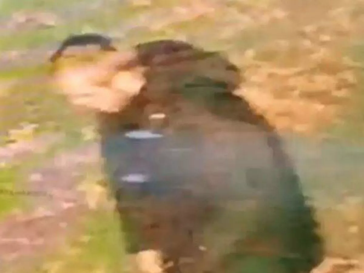 Urgent hunt for man after woman raped in 'racially aggravated' attack