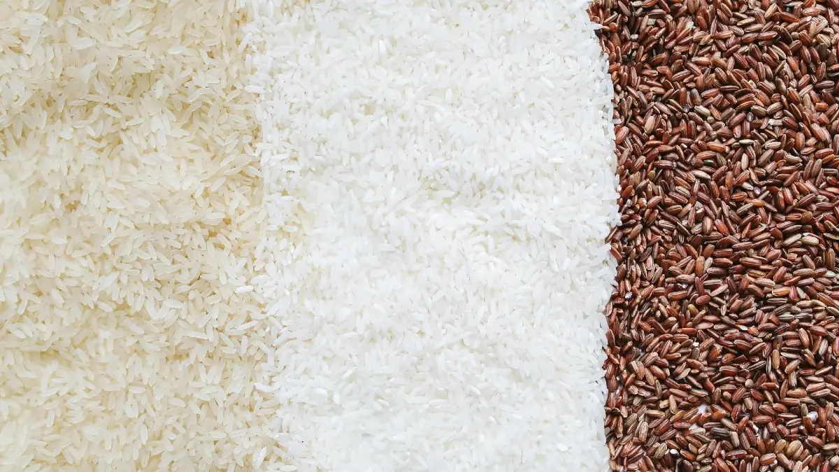 India Showcases AI-Based Rice Sorting Technology and Global Export Push at BIRC 2025
