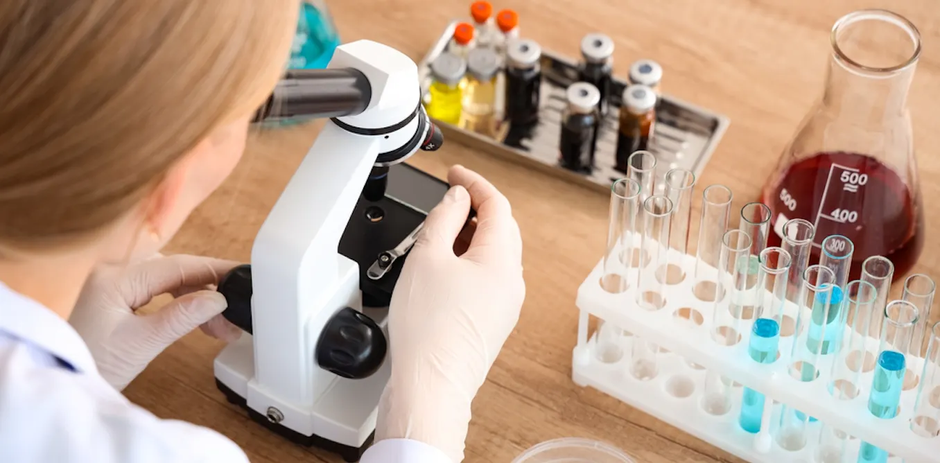 Higher education: why women in France are less likely to pursue science than men