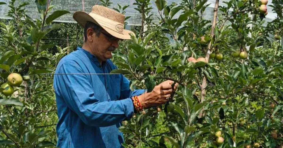 After 30 Years in the Army, Retired Colonel Returned to Manali to Grow 11 Tonnes of Organic Apples