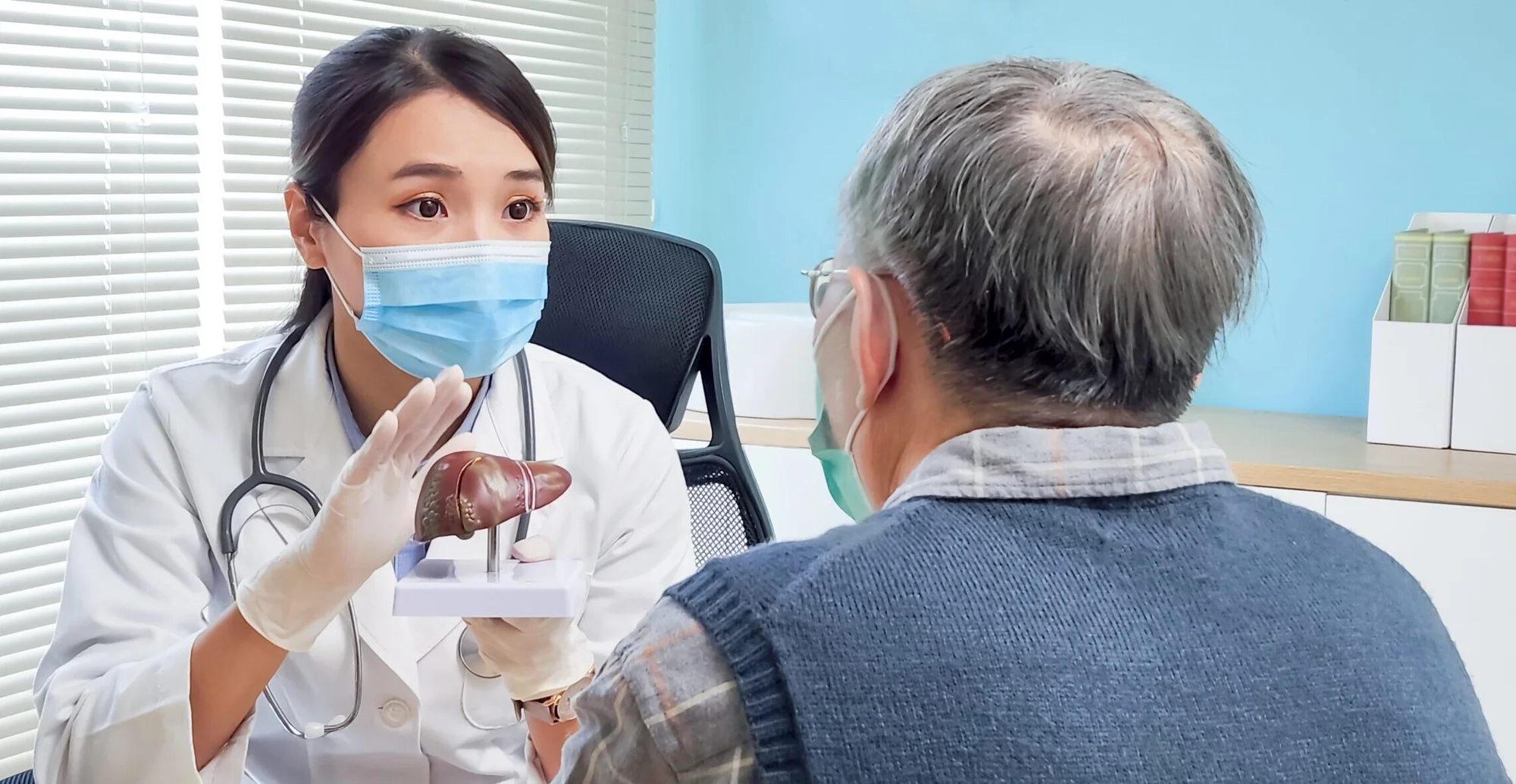 Sugar-coated stem cells heal damaged livers — replacing transplants