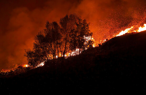 Over half a million people are dying every year due to rising heat globally