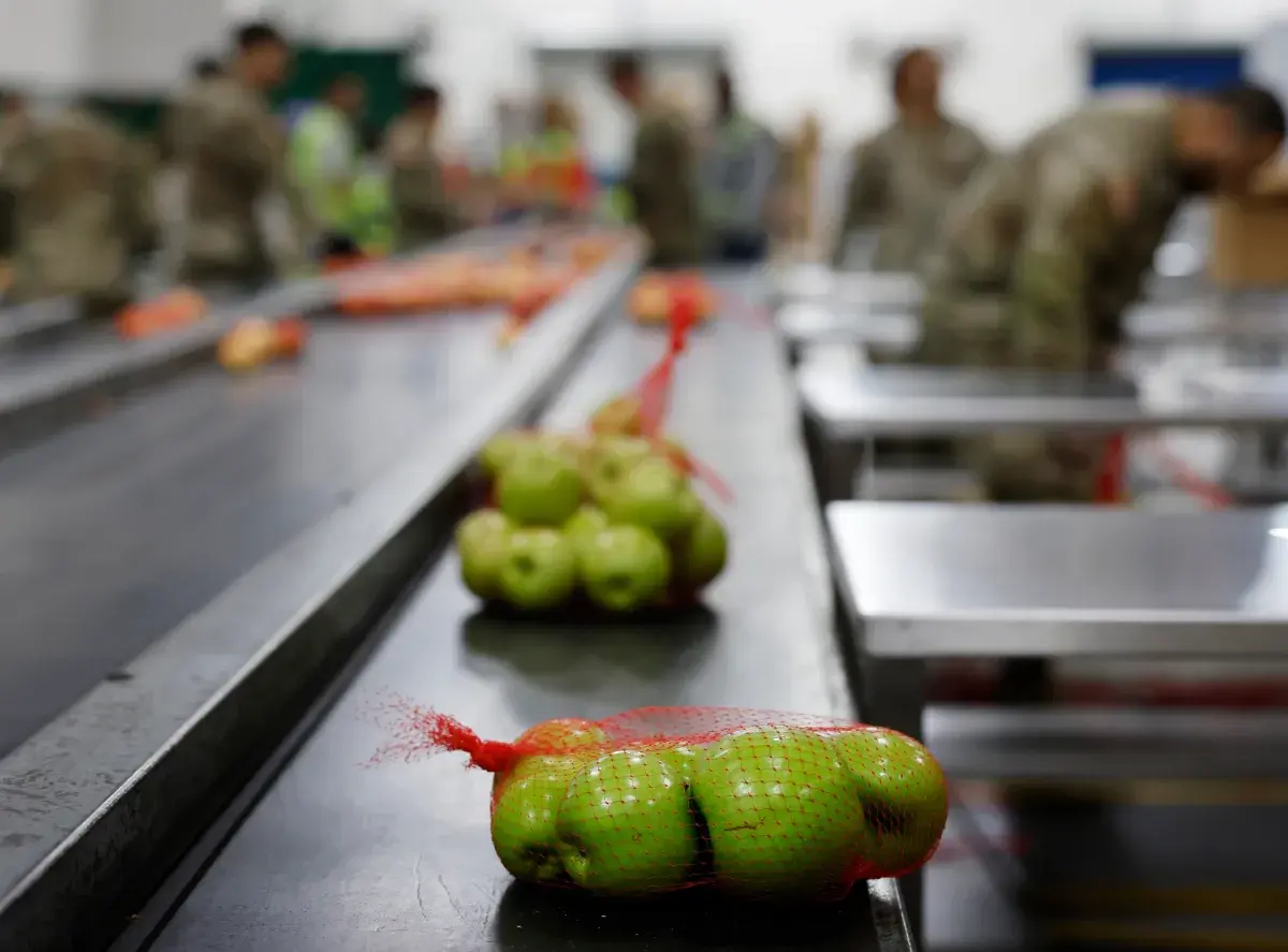 SNAP Benefits Update: Mike Johnson Urged to Open House for Funding Bill