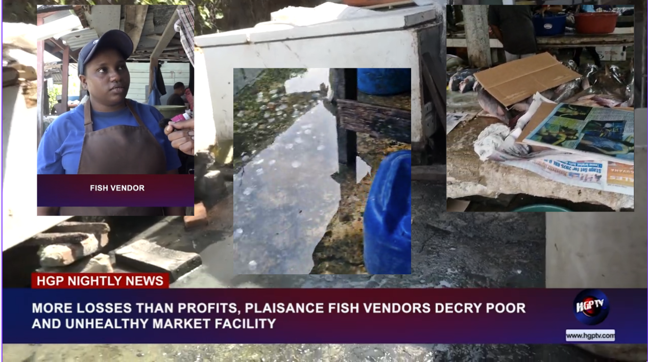 MORE LOSSES THAN PROFITS, PLAISANCE FISH VENDORS DECRY POOR AND UNHEALTHY MARKET FACILITY