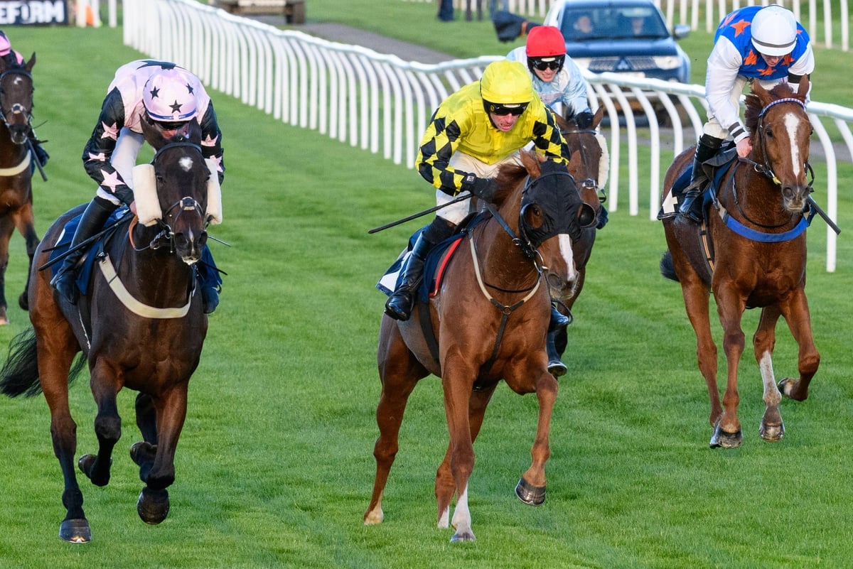 Wins for Hawick jockeys Craig Nichol and Bruce Lynn at Kelso