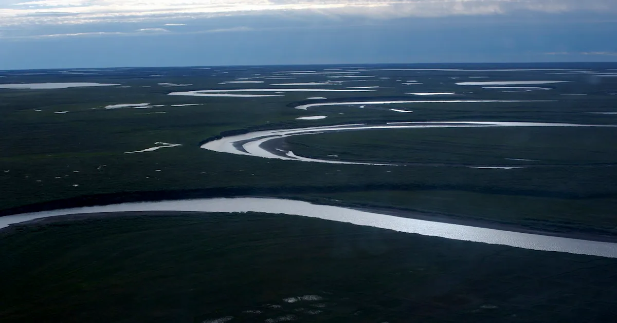 Senate passes measure to remove protections in National Petroleum Reserve-Alaska