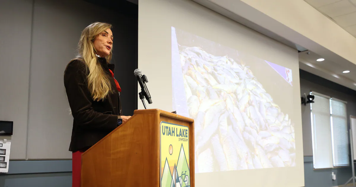 Provo mayor announces goal to remove carp, invasive plants from Utah Lake by 2034