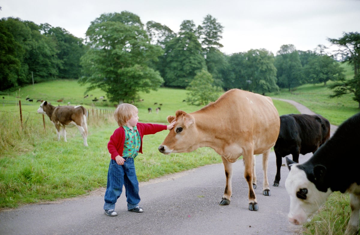 How we can end the single biggest cause of animal suffering on the planet