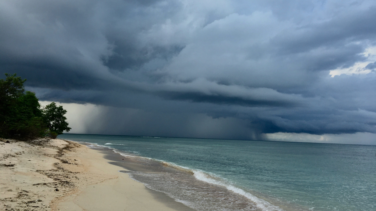 BitChat Climbs Jamaica's App Charts Amidst Hurricane Melissa Blackout