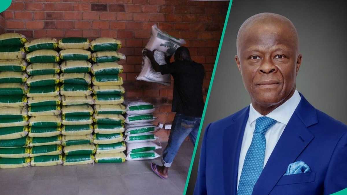 Find out more as Wale Edun confirms dealers new price for 50kg bag of rice