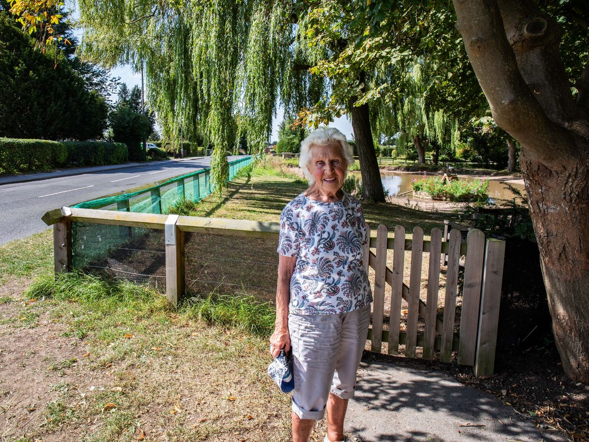 Villagers left heartbroken after council 'evicts' beloved geese over 'health and safety'