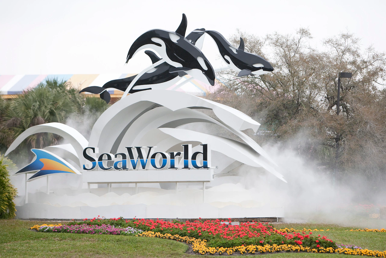 Woman sues Seaworld after duck allegedly struck her on ride