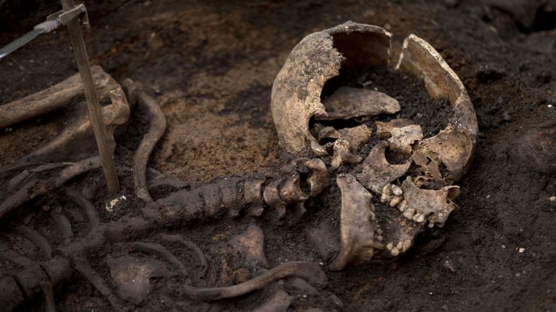 Scientists are a step closer to testing ancient skeletons for pregnancy