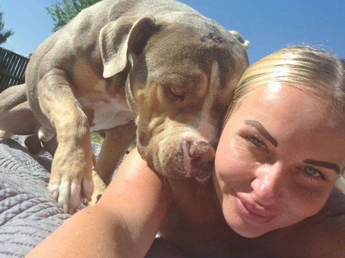 Mum's £27-a-night illegal dog scheme she ran from her house