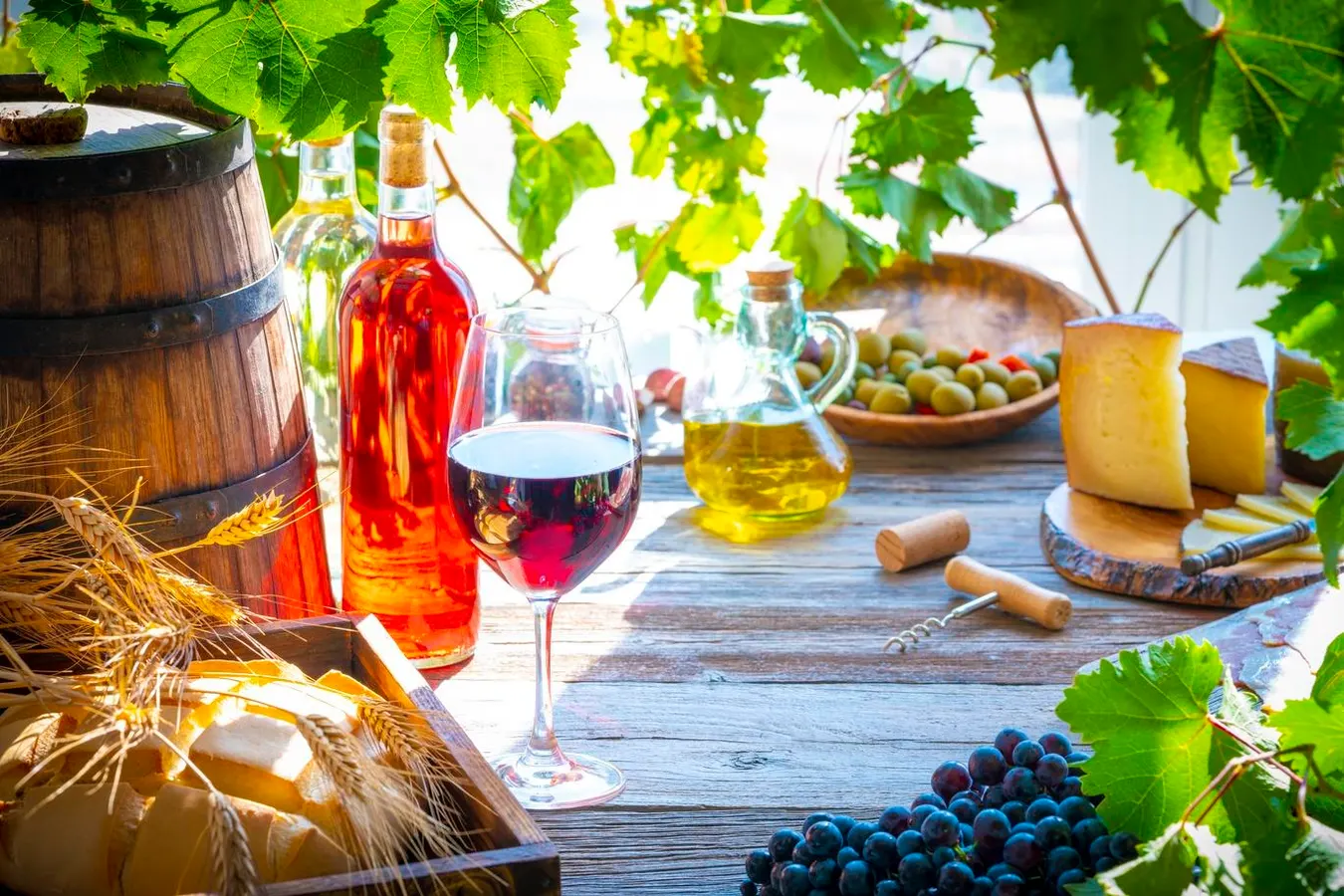 From Crisp To Bold: Rioja’s Top White & Rosé Wine Selections